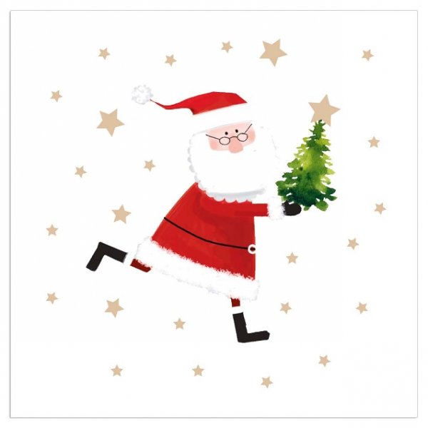 Servetėlės Christmas Santa White