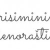 PRISIMINIMŲ DIENORAŠTIS