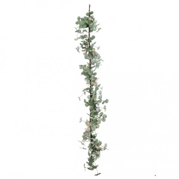 Dekoracija Eukalyptus