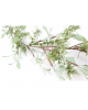 Dekoracija Mistletoe