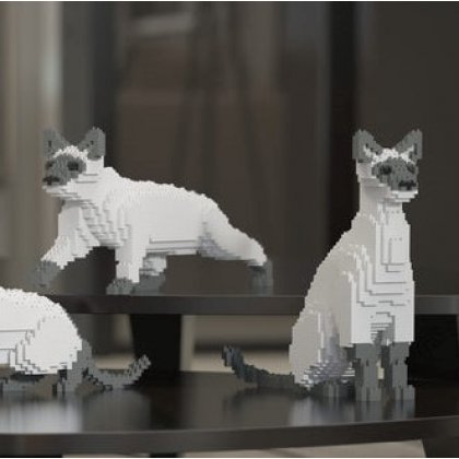 Dėlionė Siamese Cat
