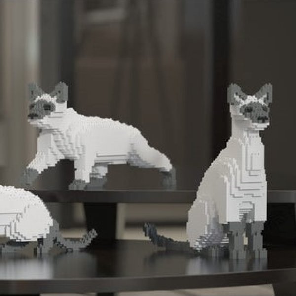Dėlionė Siamese Cat