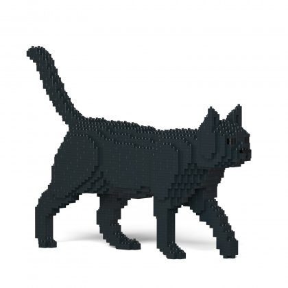 Dėlionė Black Cat