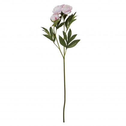 Dirbtinė gėlė PEONY ROSE