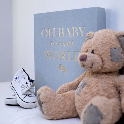 Albumas Baby it's a Wild World Pink