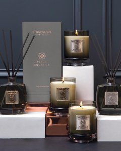 Žvakė Truffle D'Orient 